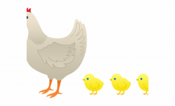 Drawn Chicken Baby Chick Mother Hen And The - Clip Art Library
