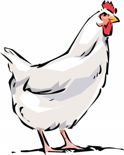 Dominique chicken Broiler Bird Rooster Clip art - hen 4000*5030 ...