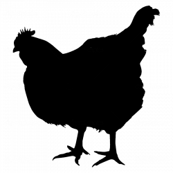 Chicken Silhouette at GetDrawings.com | Free for personal use ...