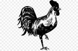 Chicken Cartoon clipart - Chicken, Bird, Feather ...