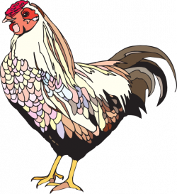 Colorful Chicken Clip Art at Clker.com - vector clip art online ...