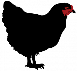 File:Chicken silhouette 02.svg - Wikipedia