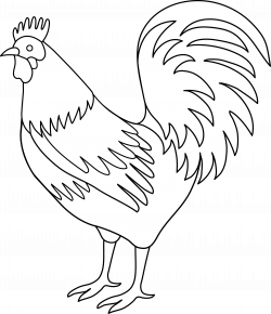 Chicken Clipart tail - Free Clipart on Dumielauxepices.net