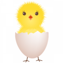 28+ Collection of Chicken With Egg Clipart | High quality, free ...