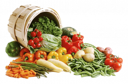 Vegetable-PNG-Clipart-min | Sai Natha Organic Country Chicken Farms