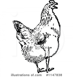 Chicken Clipart #1147838 - Illustration by Prawny Vintage