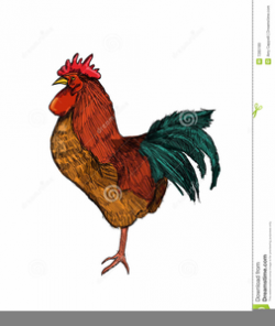 Vintage Chicken Clipart | Free Images at Clker.com - vector ...
