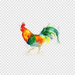 Chicken Watercolor: Animals Watercolor painting Rooster ...