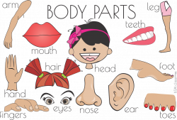 Body Parts Flash Cards, Word Cards