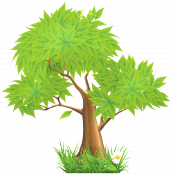 pine%20tree%20clipart%20png | Clipart | Pinterest | Pine, Tree ...