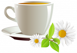 Cup of Coffee and Daisies PNG Clipart | Gallery Yopriceville - High ...