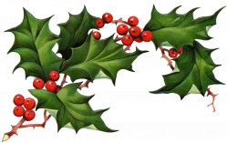 28+ Collection of Christmas Holly Clipart Free | High quality, free ...