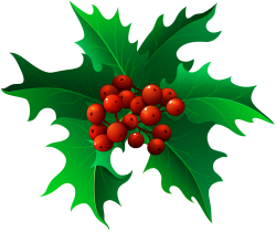 Christmas Holly Mistletoe Transparent PNG Clip Art | Gallery ...
