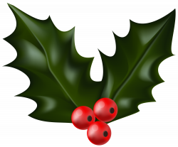Christmas Holly Mistletoe PNG Clip Art | Gallery Yopriceville ...