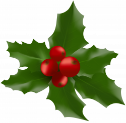 Christmas Mistletoe Large PNG Clipart Image | Gallery Yopriceville ...
