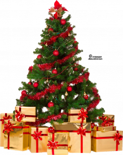 Рождественская елка PNG файла 01 | текстуры | Pinterest | Clip art ...