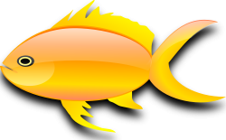 OnlineLabels Clip Art - Pez Dorado (Gold Fish)