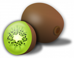 Kiwi Fruit Clipart at GetDrawings.com | Free for personal use Kiwi ...