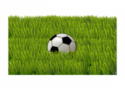 Soccer ball on grass Icons PNG - Free PNG and Icons Downloads