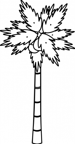 Palm Tree Clipart Black And White | Clipart Panda - Free Clipart Images