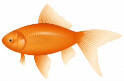 Orange Fish PNG Clipart - Best WEB Clipart