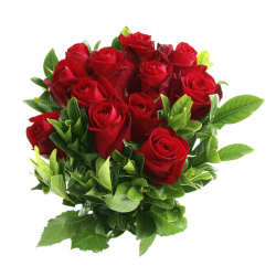 Bouquet of Red Roses | Isolated Stock Photo by noBACKS.com