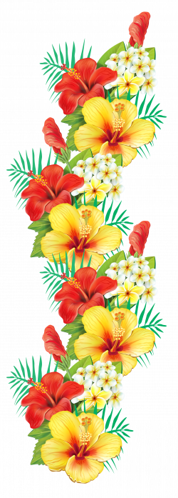Exotic Flowers Decor PNG Clipart | Színes brushok | Pinterest ...