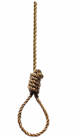 Rope PNG Image - PurePNG | Free transparent CC0 PNG Image Library