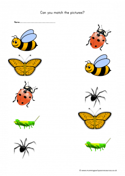 Mini beasts matching pictures worksheet - Mummy G early years ...