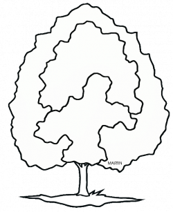 United States Clip Art by Phillip Martin, State Tree of Maryland ...