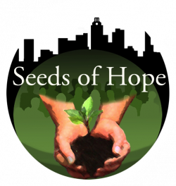 Volunteer - Seeds of Hope