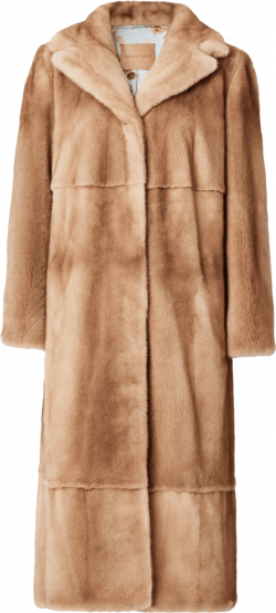 fur coat ladies png - Free PNG Images | TOPpng