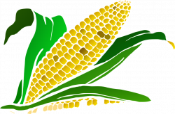 Corn clipart harvesting crop #1260 | patsy | Pinterest