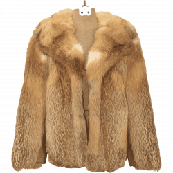 Fur Coat Background PNG | PNG Mart