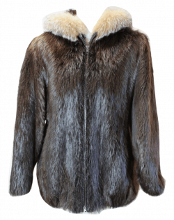 fur coat burned png - Free PNG Images | TOPpng