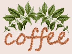 Clipart - coffee design