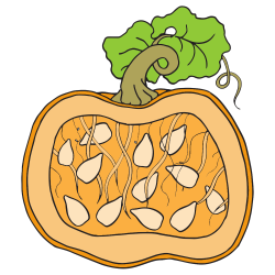 Pumpkin Clipart - Homeschool Clipart
