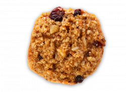 Healthy Vegan Oatmeal Bites – Alyssa's Cookies
