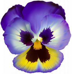 Violet Flower Transparent Clip Art | Gallery Yopriceville - High ...