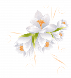 White Flower Decor Transparent PNG Clip Art Image | Gallery ...