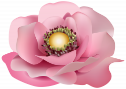 Flower Pink Transparent PNG Clip Art Image | Gallery Yopriceville ...