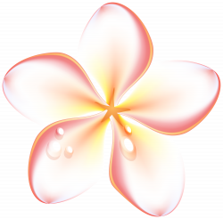 Exotic Summer Flowers Transparent PNG Clip Art Image | Gallery ...