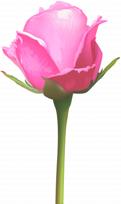 Single Pink Rose PNG Clip Art Image | Gallery Yopriceville - High ...