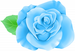 Blue Single Rose PNG Clip Art Image | Gallery Yopriceville - High ...