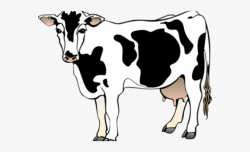 Beef Clipart Caw - Animated Pictures Of Cow #1937029 - Free ...