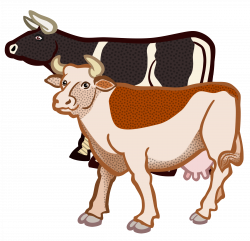 Clipart - cows - coloured