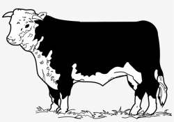 Beef Clipart Cow Drawing - Beef Cow Clip Art Transparent PNG ...
