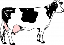 Clipart - Cow black and white / Vache blanche et noire avec de l'herbe
