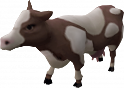 Cow | RuneScape Wiki | FANDOM powered by Wikia
