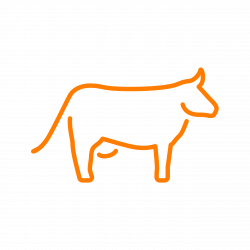 Orange Cattle is a full-service eCommerce marketing agency.